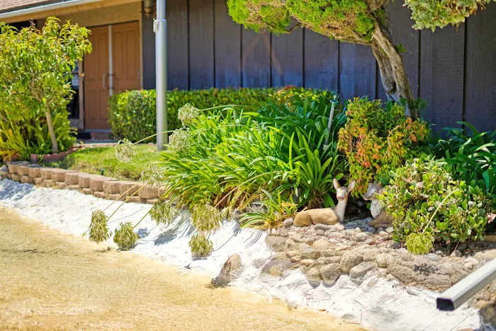 Summerset Estates Picture 9