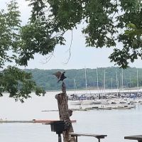 Redbud Bay Campground ico