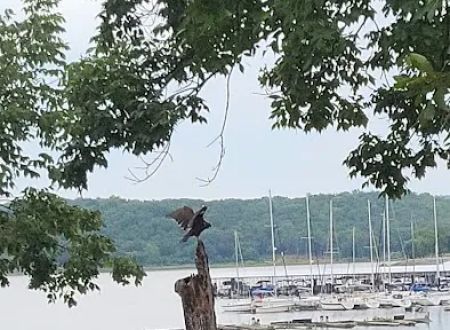 Redbud Bay Campground