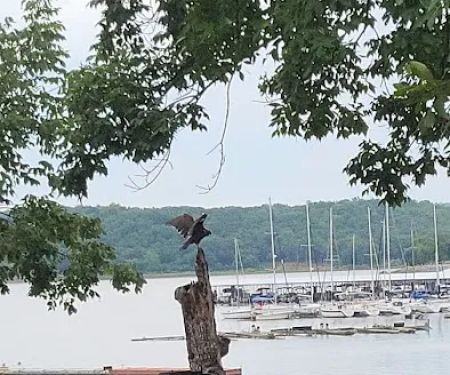 Redbud Bay Campground