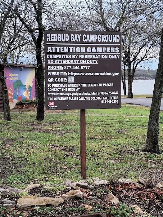 Redbud Bay Campground Picture 7