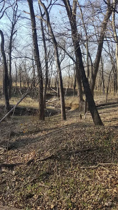 Blue Creek Campground Picture 9