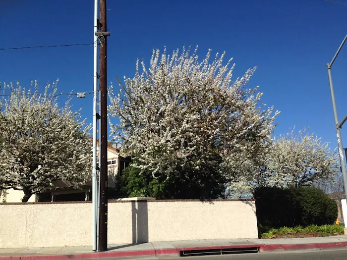 Los Amigos Mobile Home Park Picture 1