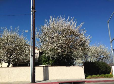 Los Amigos Mobile Home Park