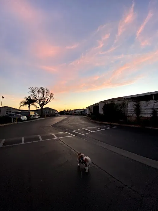 Fountain Valley Estates Mobile Home Park Picture 1