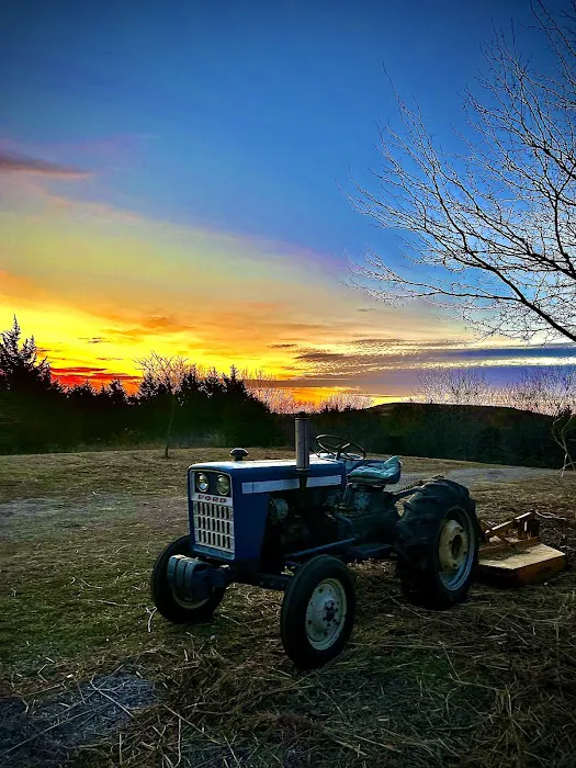 Sky Valley Acres Picture 7