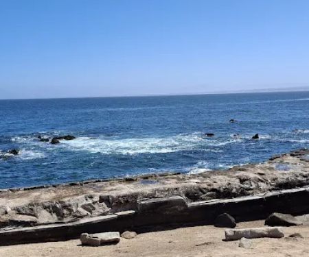 Monterey