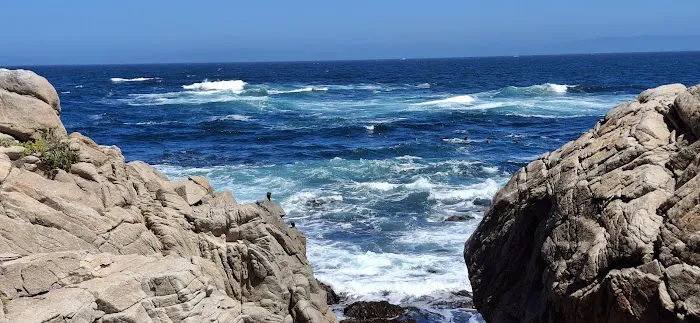 Monterey Picture 2