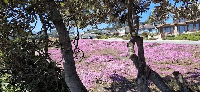 Monterey Picture 5