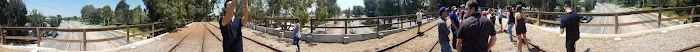 Skylark Torrance Mobile Park Picture 2