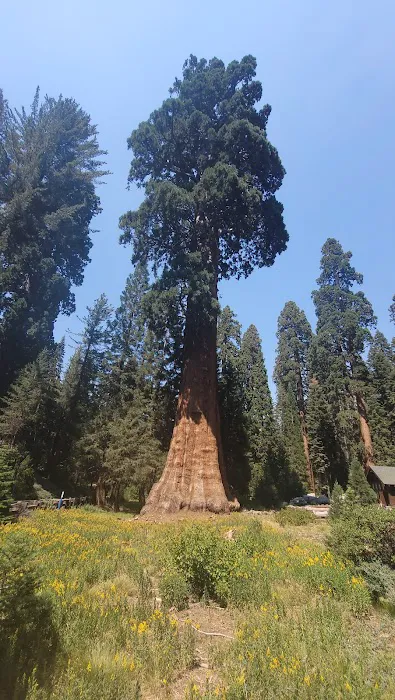 Visalia / Sequoia National Park KOA Journey Picture 9