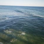 Surf City Beach Cottages