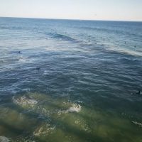 Surf City Beach Cottages ico