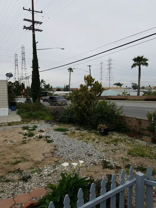 Royal Western Mobile Home Park Picture 5