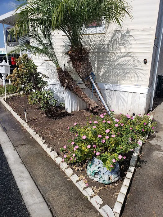 Rosewood Mobile Home & RV Park Picture 9