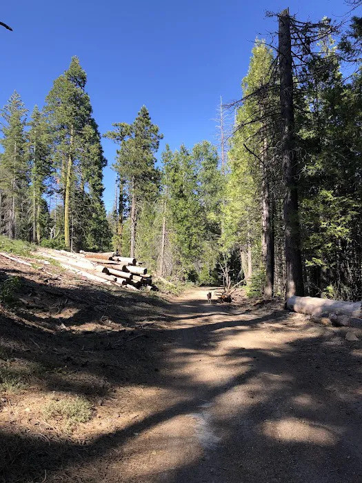 Whisky Falls Campground Picture 2