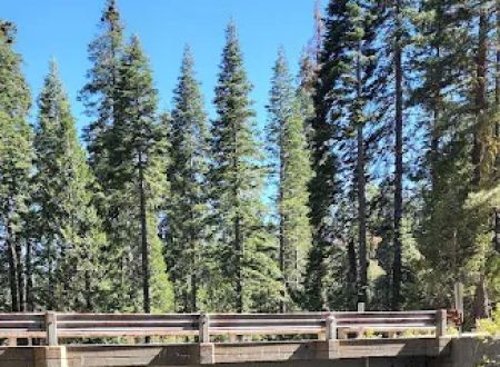 Whisky Falls Campground