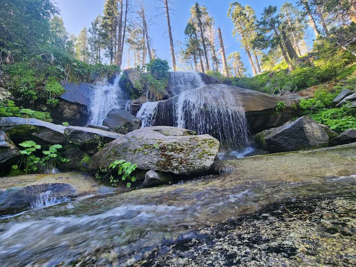 Whisky Falls Campground Picture 5