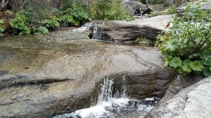 Whisky Falls Campground Picture 10