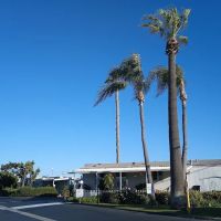 Garden West Estates ico