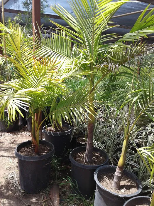 Garden West Estates Picture 4
