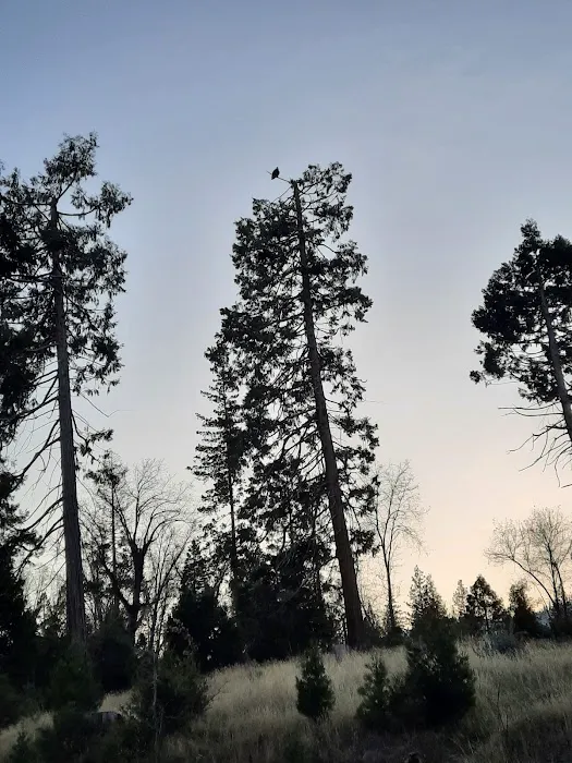 Wishon Point Campground Picture 4