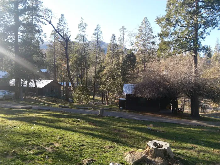 PSEA Camp Wishon Picture 2