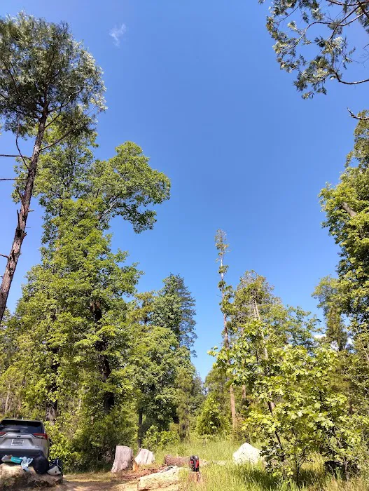 Spring Cove Campground Picture 1