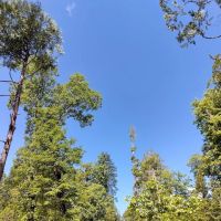 Spring Cove Campground ico