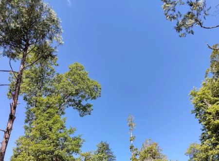 Spring Cove Campground