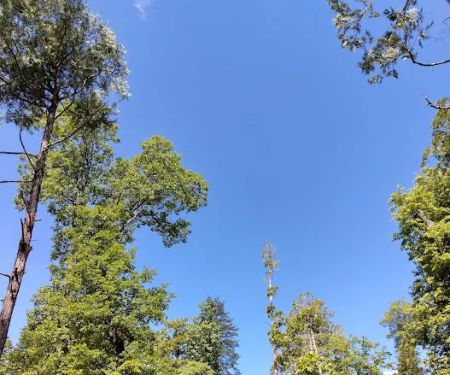 Spring Cove Campground