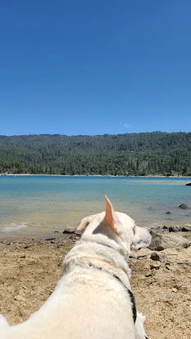 Spring Cove Campground Picture 10