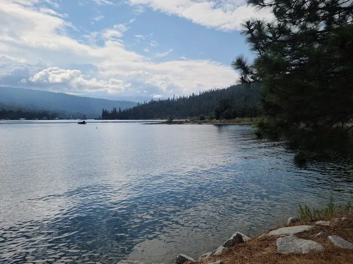 Lupine Spring Cove Picture 1