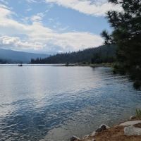 Lupine Spring Cove ico