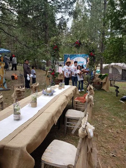 Lupine Spring Cove Picture 2