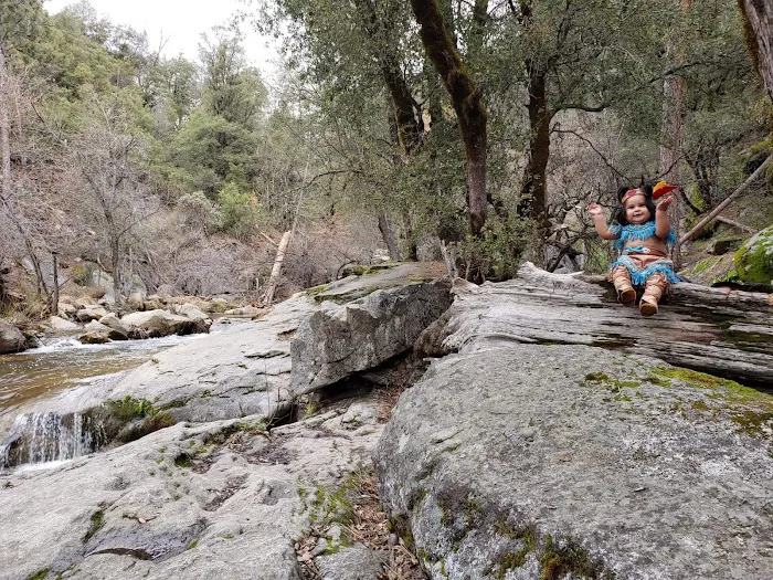 Lupine Spring Cove Picture 5