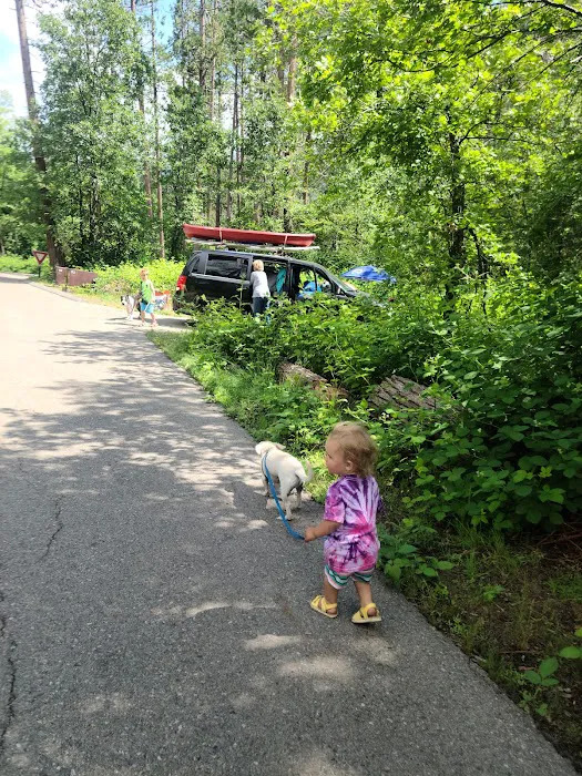 Lupine Spring Cove Picture 9