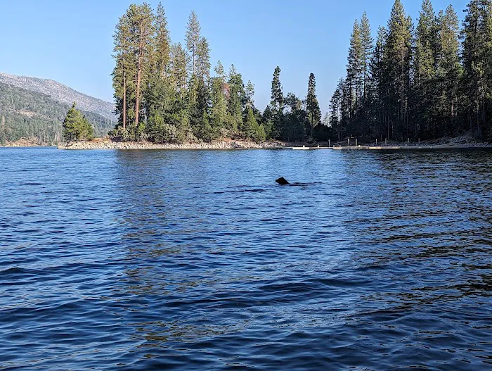 Lupine Spring Cove Picture 10