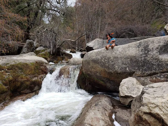 Lupine Spring Cove Picture 6
