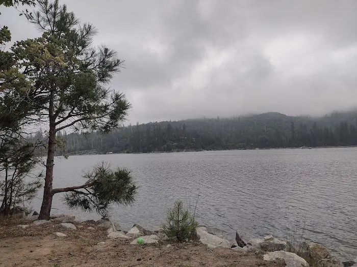 Lupine Spring Cove Picture 7