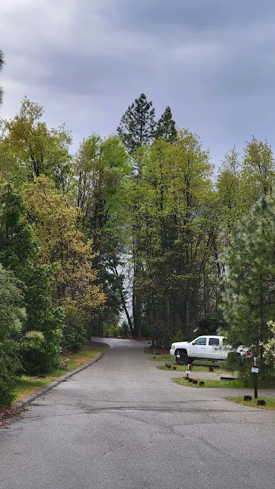 Lupine Campground Picture 2