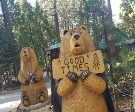 Usda Forest Services