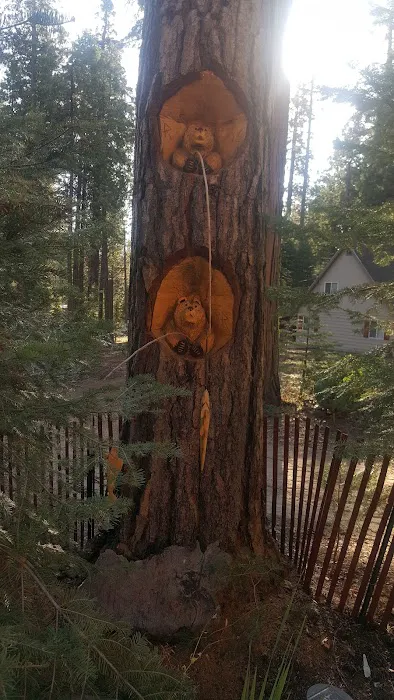 Usda Forest Services Picture 2