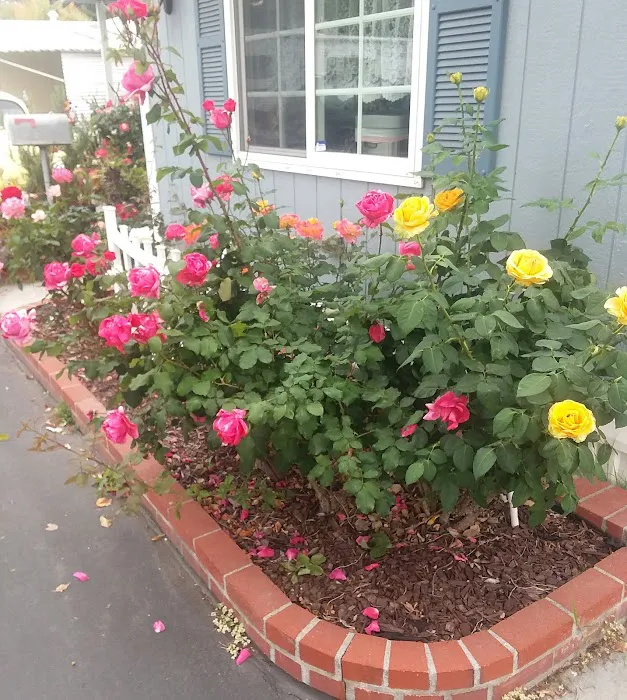 Whittier East Mobile Home Park Picture 8
