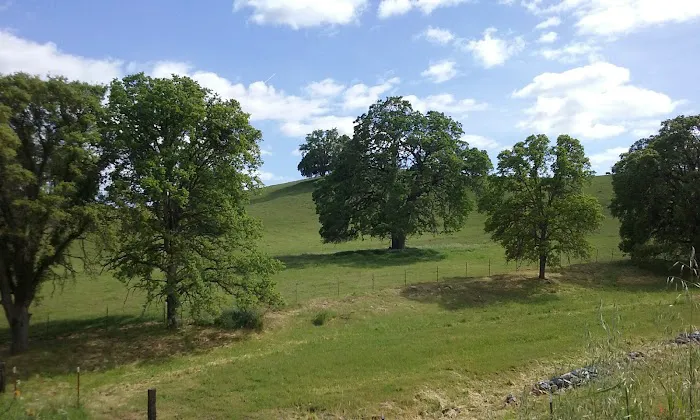 PSEA Camp Wishon Picture 10