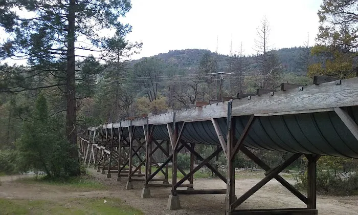 PSEA Camp Wishon Picture 9
