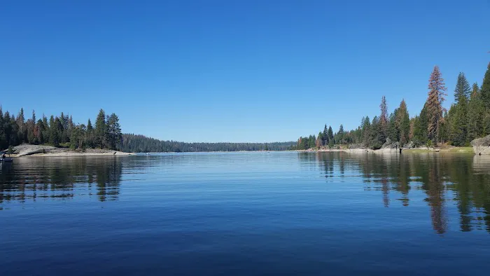 Camp Edison Picture 6