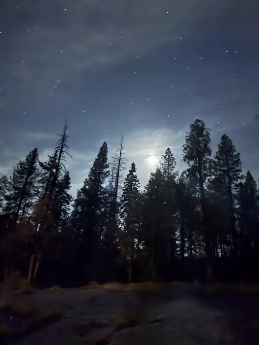 Dorabelle Campground Picture 5