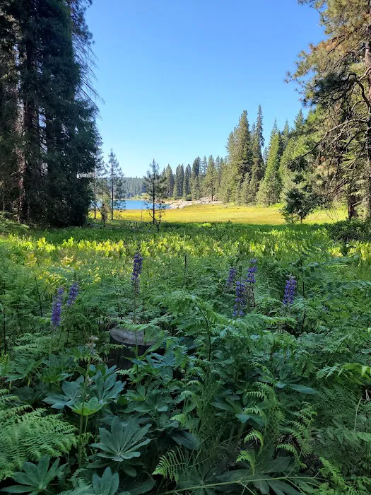 Dorabelle Campground Picture 3