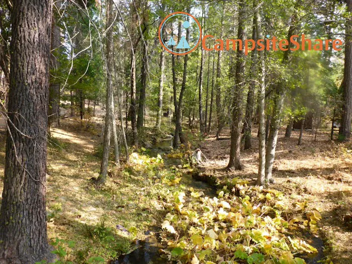 Fish Creek Campground Picture 9